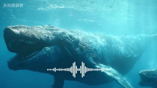 利维坦鲸——听到这声音的猎物，存活时间不超过30秒？ 巨齿鲨