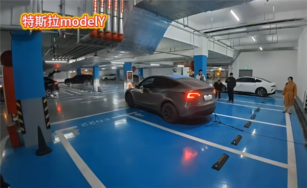 实测多款热门车自动泊车 特斯拉Model Y唯一过关_中华网