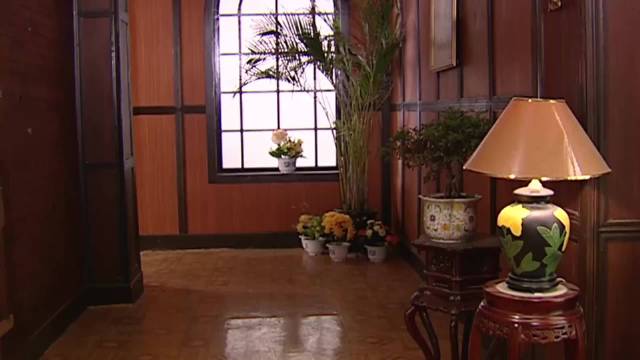 赘婿把日本小妾带回家，原配却热情得不像话，大开眼界