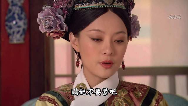 甄嬛传之小鸟动胎气小产