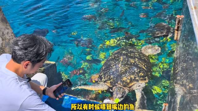 “一起逛水族馆” @闲人王昱珩