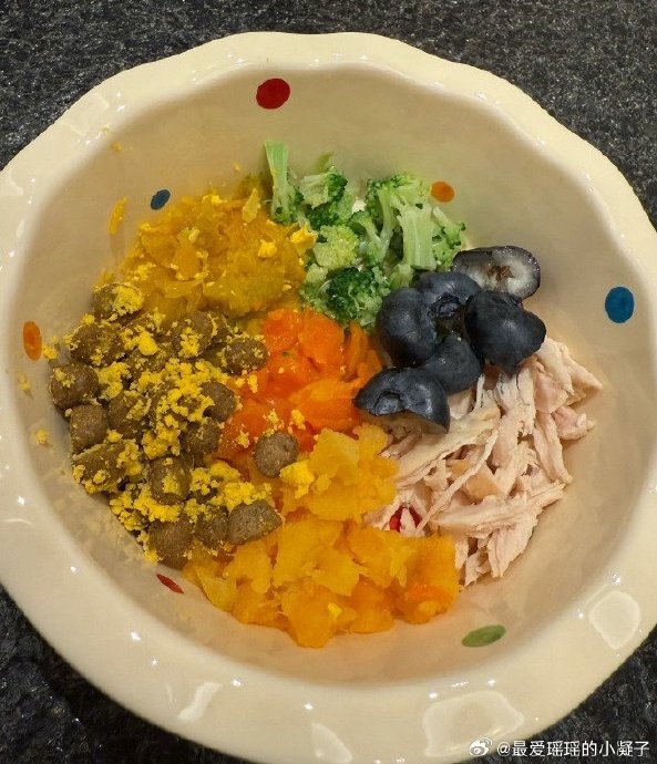 李一桐的宠物餐里都放了哪些食材？