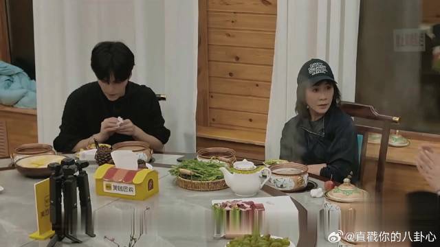影后饭局起争执，刘嘉玲何赛飞争论表演要求