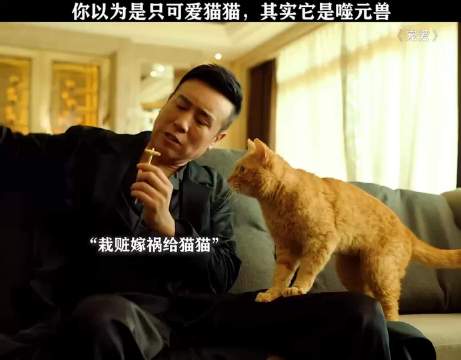 你以为是只可爱猫猫 实际上是只噬元兽
