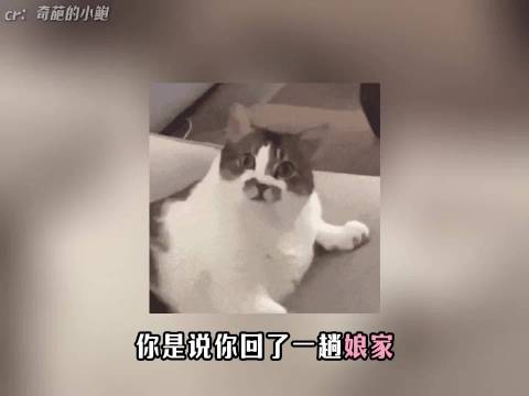 姐就5天不在，家里上演了一部《活着》