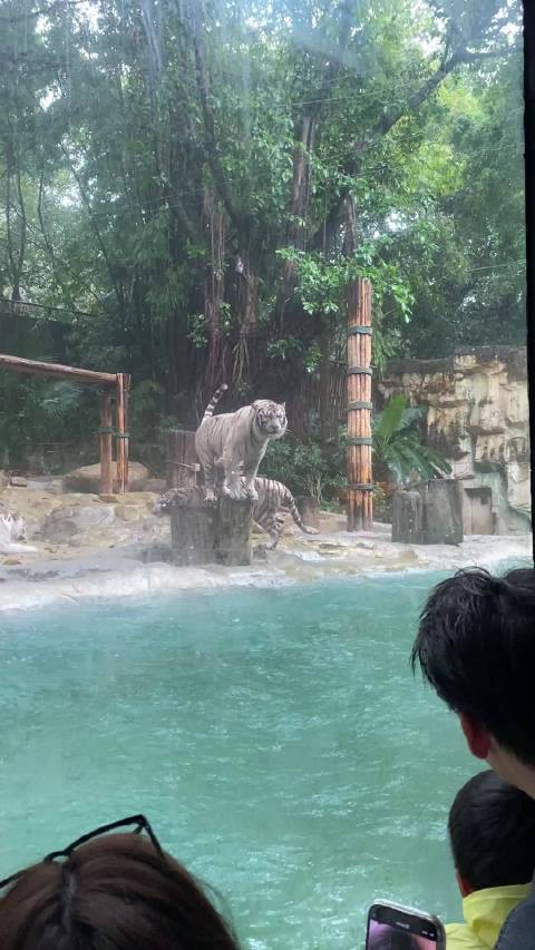 Xdm看看这是山海画境还是流觞曲水