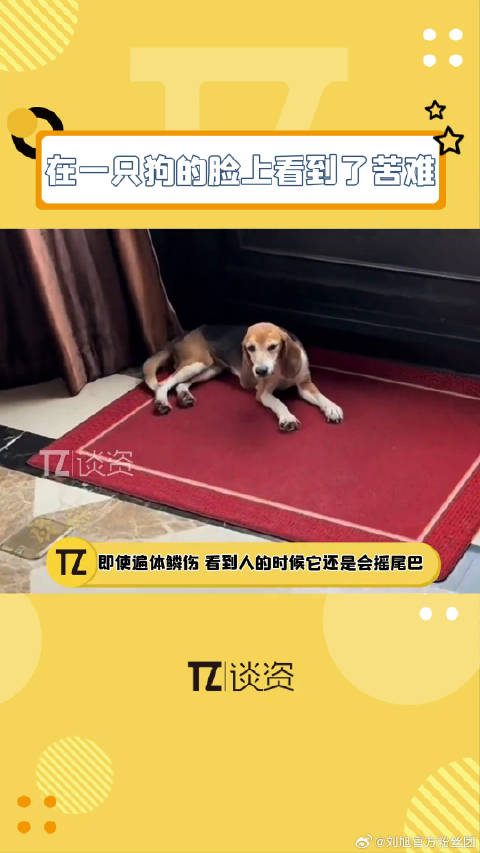 比格犬嗯哼