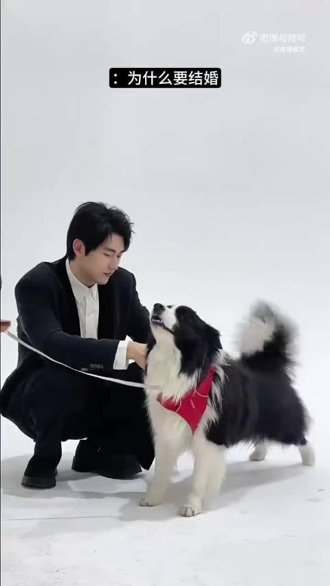 孙丞潇参加美食综艺为金莎记菜谱，随身带本似备战高考