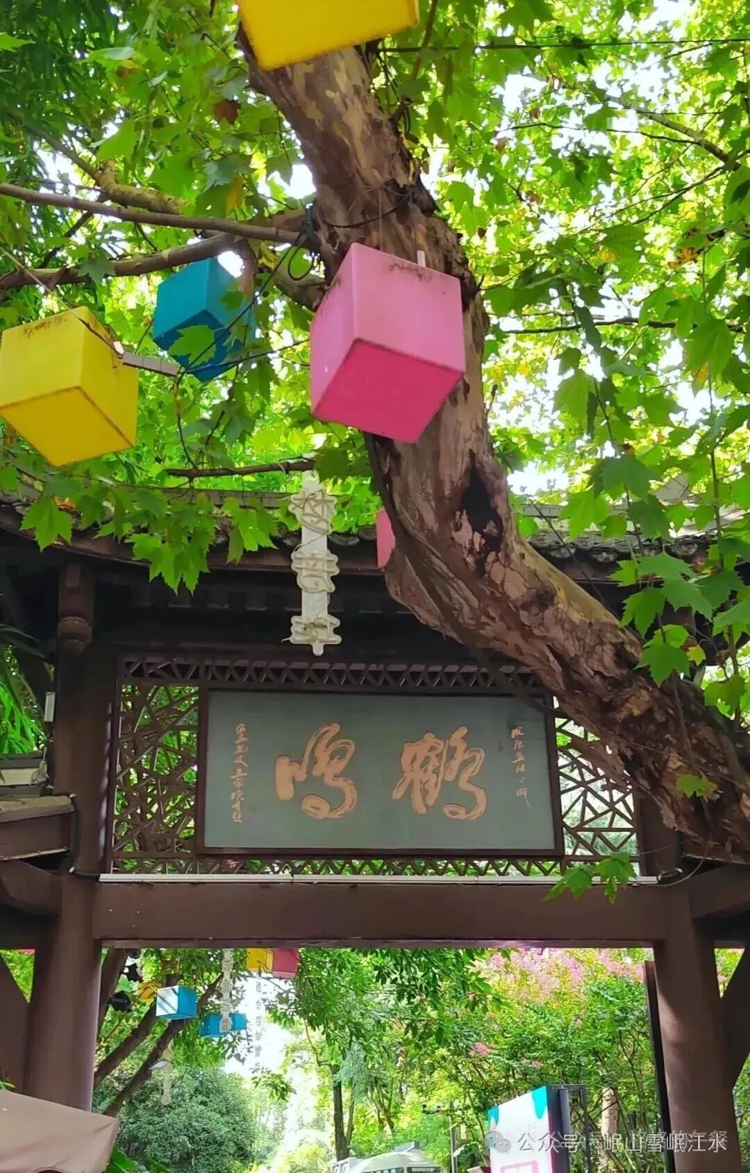 成都的知名茶楼一览