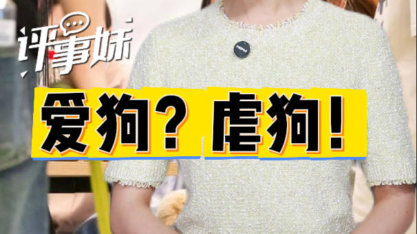 虐狗引流骗250万平台难辞其咎放任虐狗骗救助的平台同样可恶