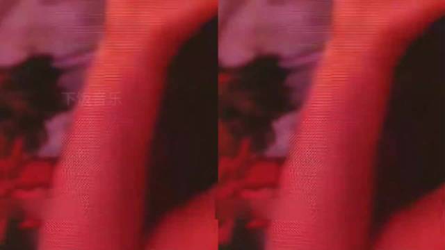 老外第一次来中国看演唱会，本以为是普通观众，没想到一开口全场欢呼