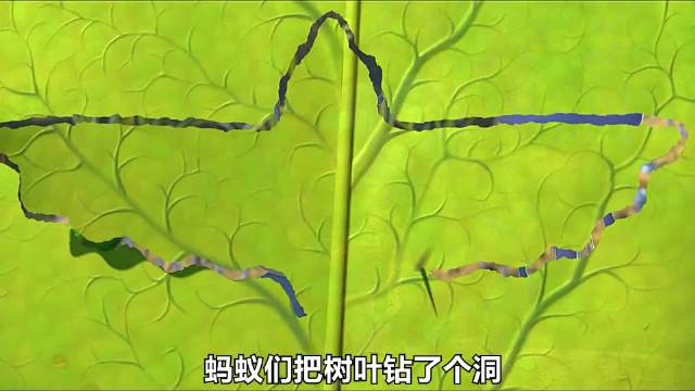 小蚂蚁为了对付蝗虫，找来马戏团昆虫伙伴，一起抗击敌人！ 冒险片