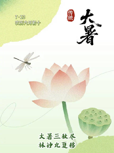 今日大暑！