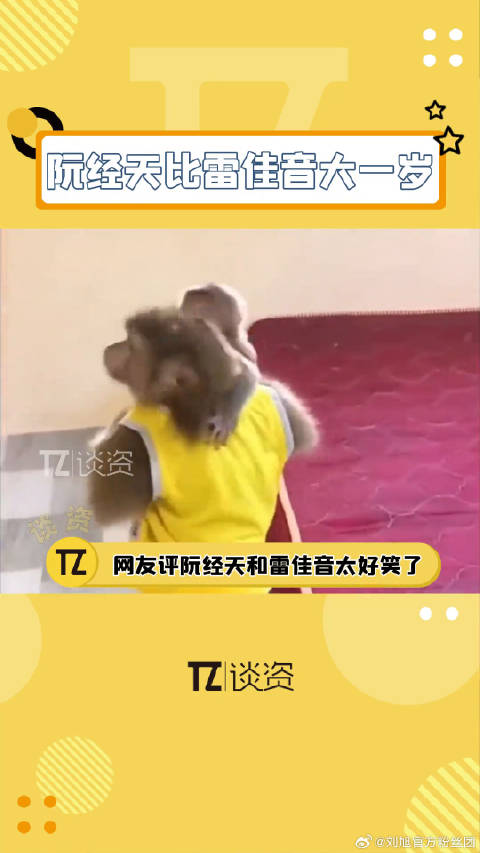 雷佳音，雷佳音别看是恶评哈哈哈！网友评阮经天和雷佳音太好笑了