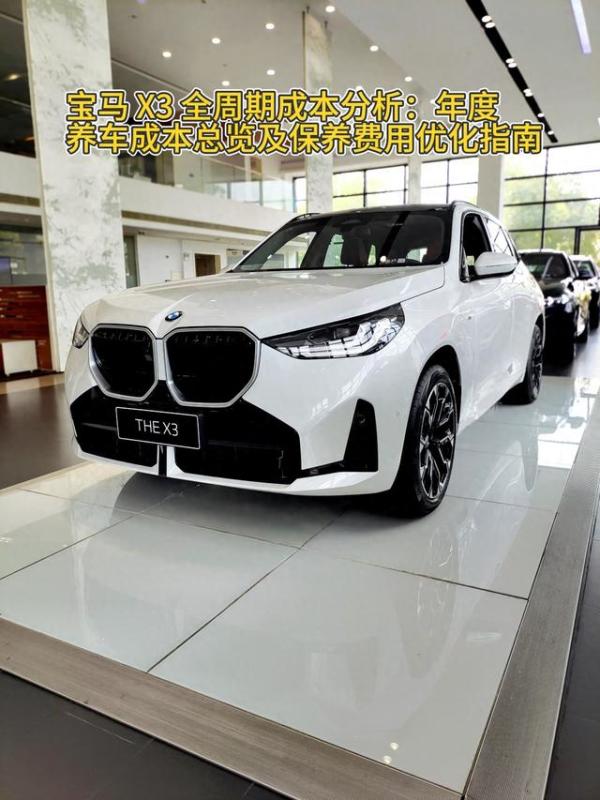 纠结特斯拉还是宝马?算完5年养车账,多花10万真的值吗