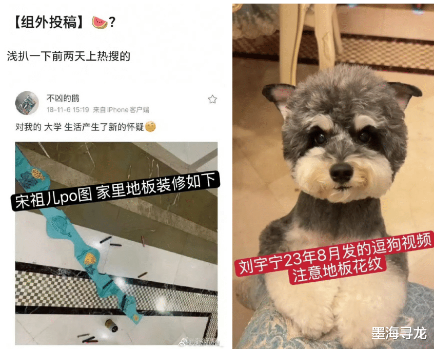 刘宇宁辟谣恋情，发文六字硬刚，宋祖儿家地板证据疑存在漏洞