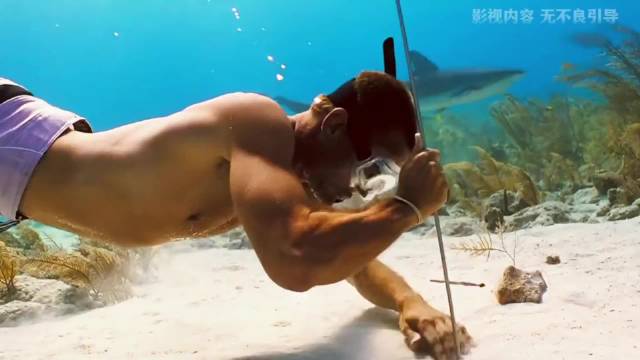 保罗深海寻宝，意外撞见毒贩失事飞机，海盗宝藏与巨额... （2）