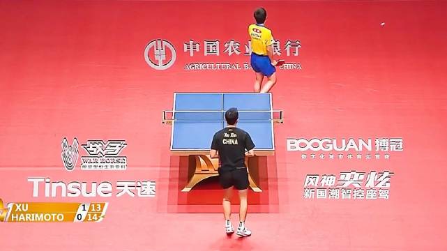叛徒张本智和太嚣张了！许昕霸气教他做人，结局太解气！乒乓球｜许昕