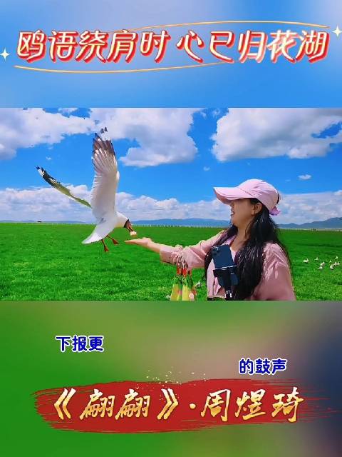 若尔盖花湖｜清凉藏在湖光里