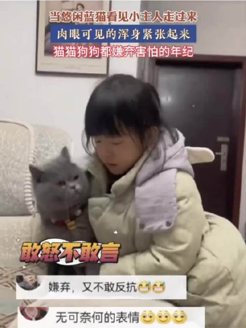 猫看人走来像哥斯拉，蹲下能降低危险