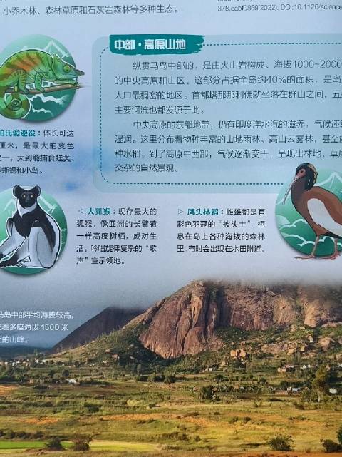 马达加斯加孤岛生态，探索独特自然奥秘