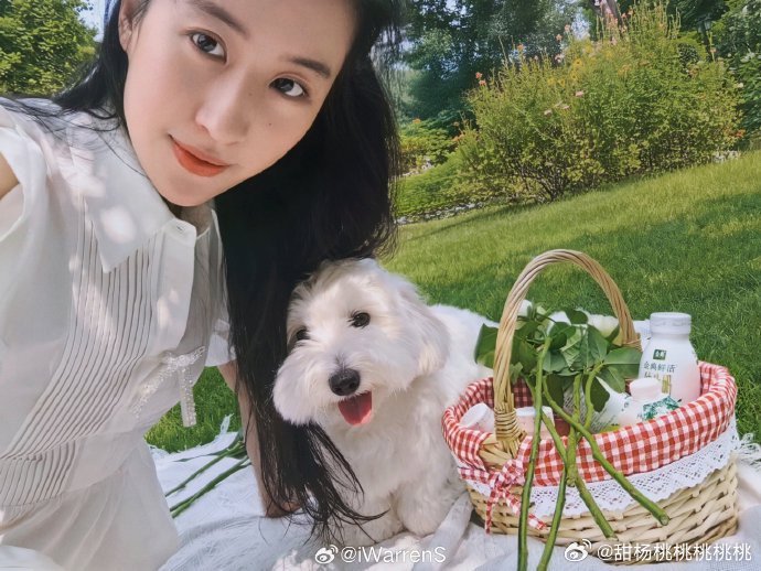 刘亦菲的松弛感生活态度能给普通人什么启发？