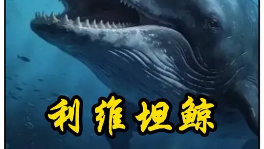 利维坦鲸和巨齿鲨到底谁厉害？利维坦鲸的远亲竟然是它？