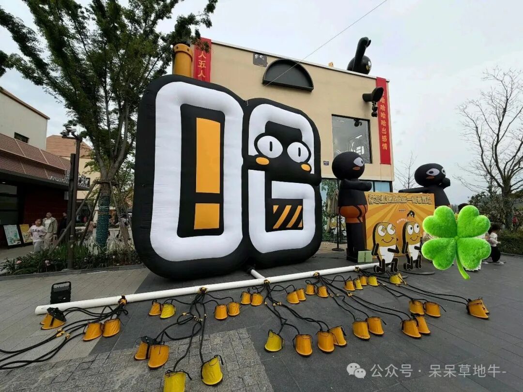 五哈6首期封神！雨林互坑+民俗狂欢，这才是内娱老友局的天花板