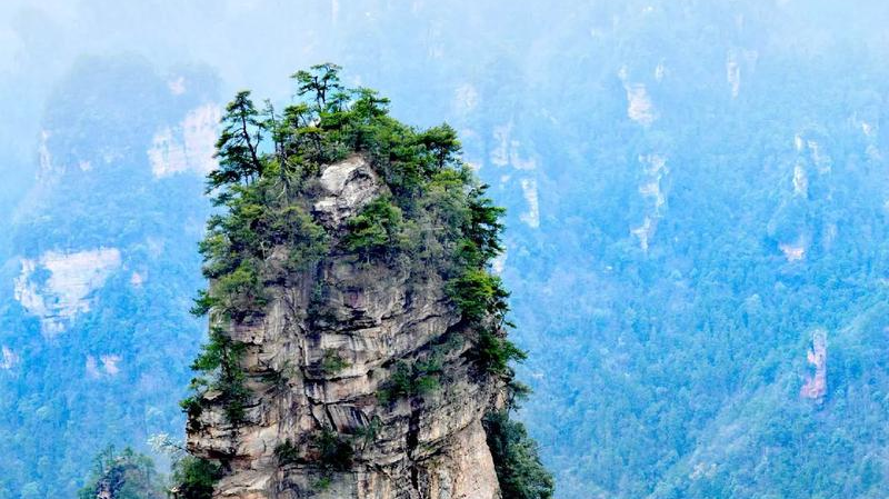张家界保姆级旅行攻略3分钟get必玩景点行程路线美食地图!从阿凡达星球到凤凰夜色,张家界最全打卡路线图都在这里!