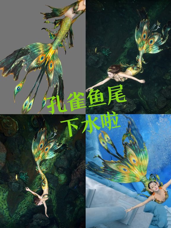 孔雀下水效果来啦