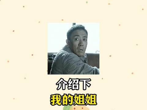 来认识一下我的姐姐！ 亮剑