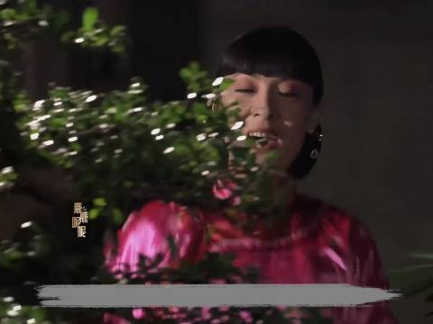 白家二奶奶产子，生下来不哭不闹，名唤白景琦 大宅门