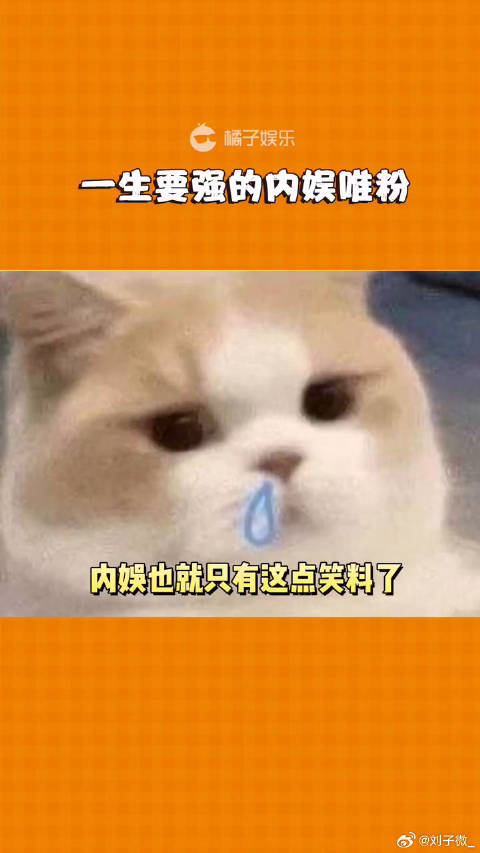 一生要强的内娱唯粉，爱豆结婚生子也改变不了她们…… 谢娜