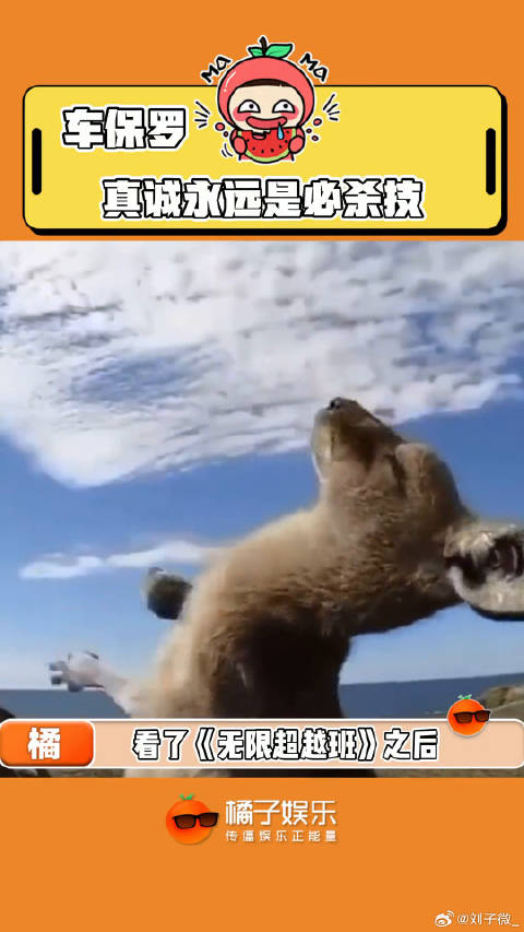 一个可爱努力生活的小老头儿~ 无限超越班