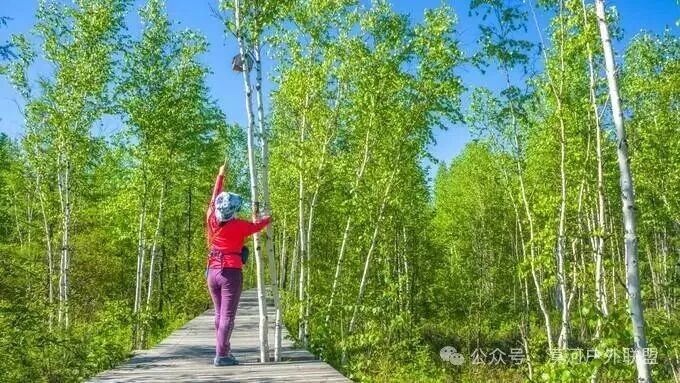 夏季哈尔滨-漠河保姆级攻略-交通 线路 游玩景点