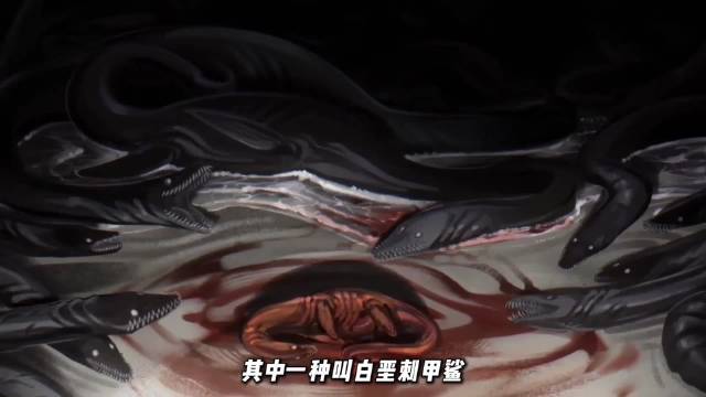 四袈裟，巨齿鲨祖先，白垩纪五米长锋利牙齿