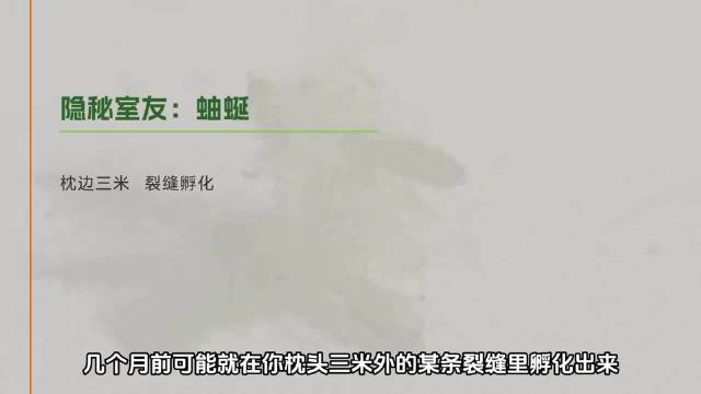 蜈蚣成长三年蜕皮增腿，毒液系统比恐龙还早