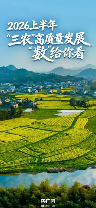 除了数据透视表,还有哪些方法可以对数据进行汇总分析? 除了数据透视表,还有哪些方法可以对数据进行汇总分析?