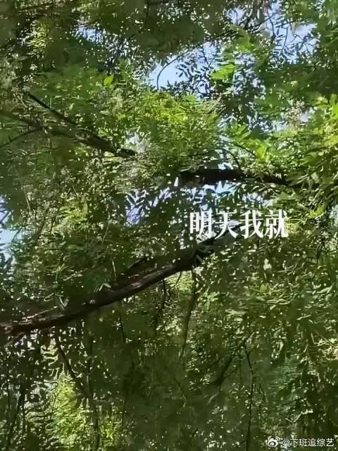 说不喜欢都是假的，“喜欢” 两个字才是真的！