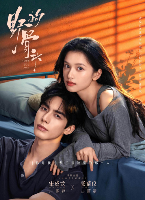 宋威龙和张婧仪合作的电视剧《念念无明》讲了什么故事？