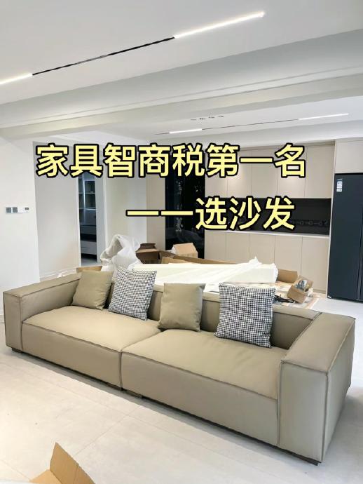 独居想买顾家真皮沙发 智能省空间 预算内配全屋家电 独居想买顾家真皮沙发 智能省空间 预算内配全屋家电