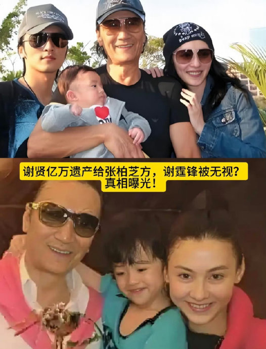 谢贤为何将九成遗产留给张柏芝代管？