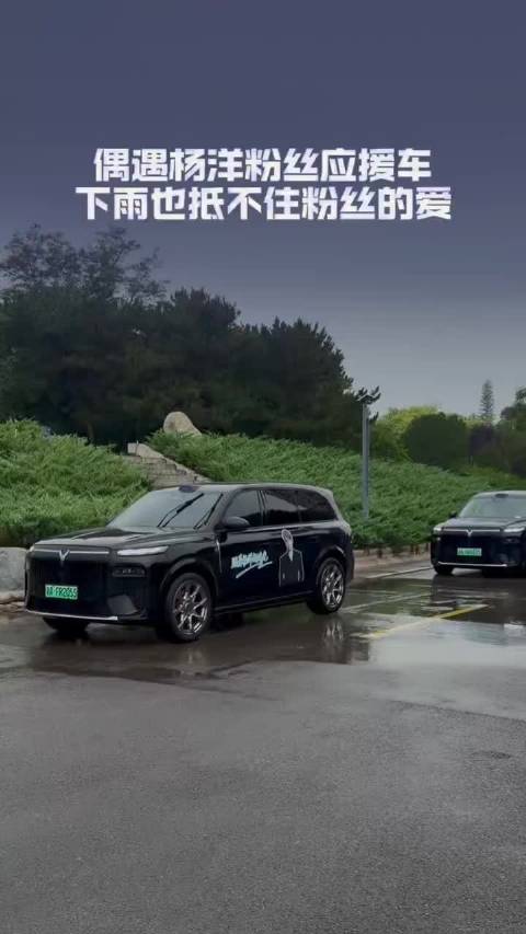 岚图你就宠他吧 上一个这种动静的还是肖奈去接女朋友知豆不 cr.岚图小丹