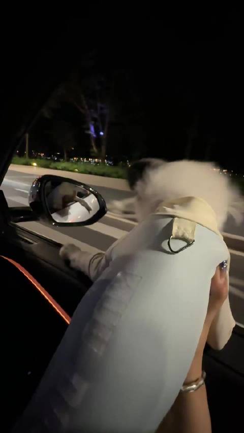 洗脚的时候发现它喜欢看狮子王