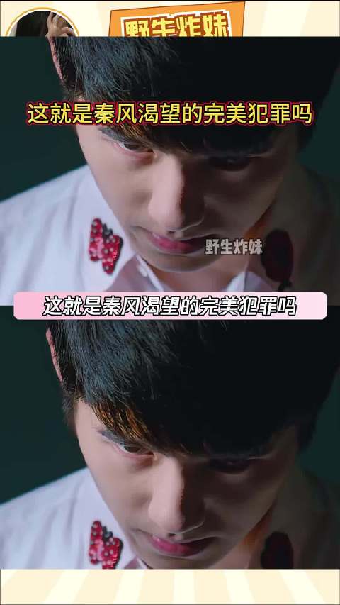 这就是秦风渴望的完美犯罪吗