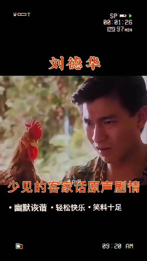 刘德华古早电影《雷洛》，阿婆报案找听懂客家话的有福了