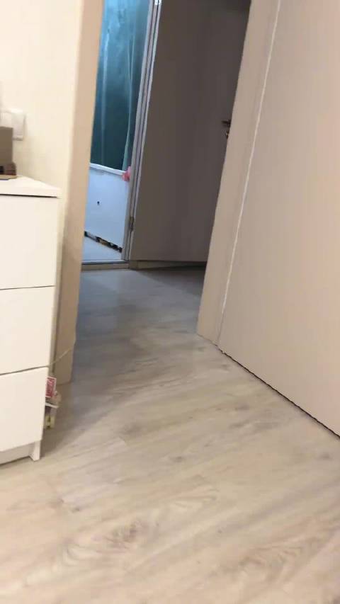 小猫应该去成龙电影，这一套丝滑小连招