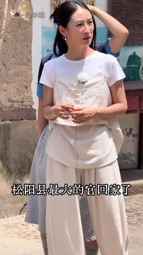 鹂妃高兴，就是松阳县个街道、5个镇、11个乡、49个村高兴！安陵容，甄嬛传