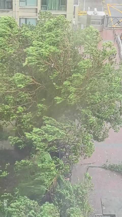 台风红霞登陆惠州，广东高铁停运，珠海返程注意安全