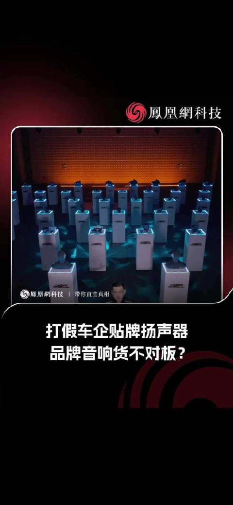 打假车企贴牌扬声器 品牌音响货不对板？
